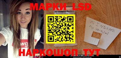 a pvp Новозыбков