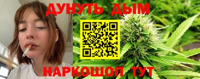 a pvp Новозыбков