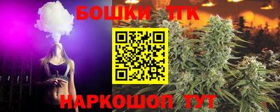 a pvp Новозыбков