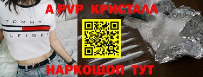 a pvp Новозыбков