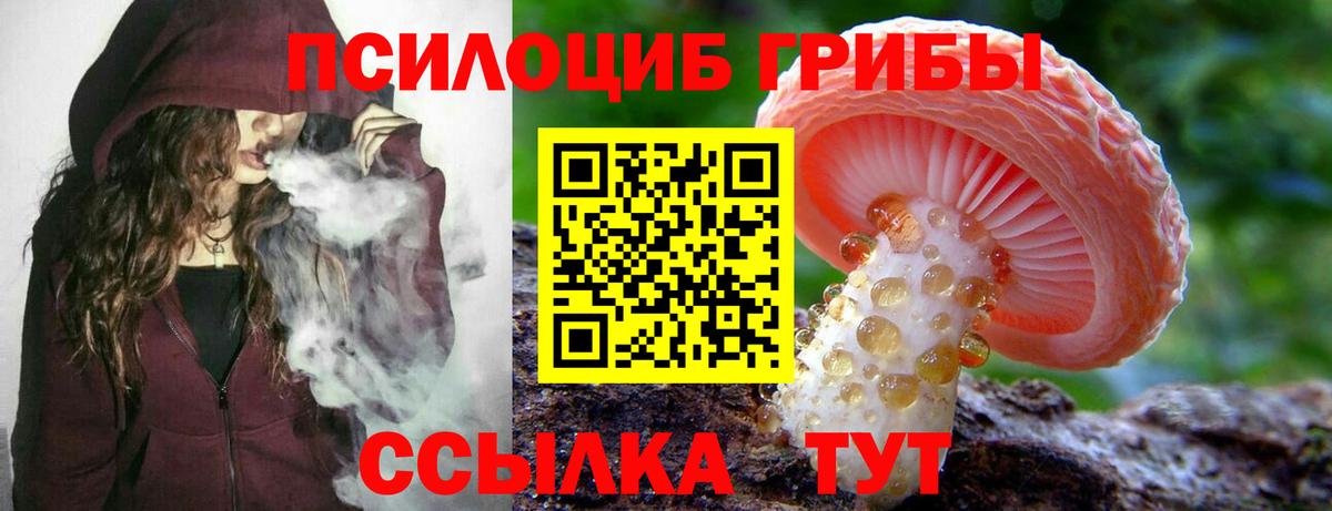 где можно купить наркотик  Псилоцибиновые грибы ЛСД  Псилоцибиновые грибы мухоморы  Вход с VPN  Северобайкальск 
